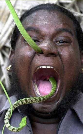 揭秘巴基斯坦蛇人的真实生活(组图)_财经_腾讯网