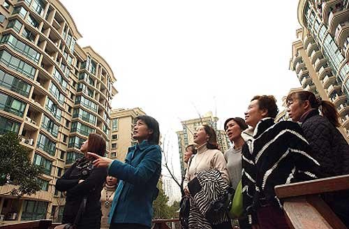 温州太太炒房团