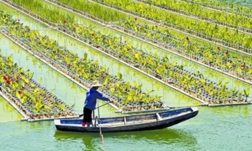 发展生态经济 建设生态文明
