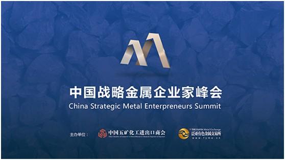 泛亚有色金属交易所中国战略金属企业家峰会3