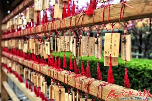 合肥墓地市场冰火两重天