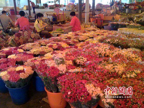 母亲节将至 广州花卉市场康乃馨升价成主调_新