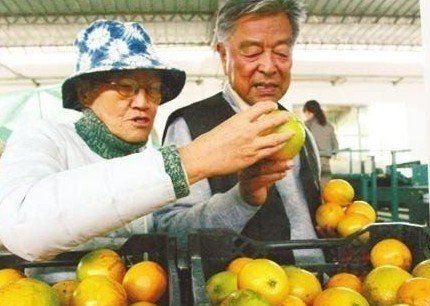 褚时健