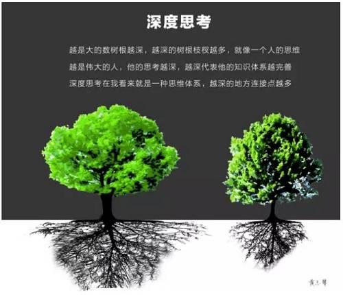 我们发现大自然的树木，越粗大的树根基越长，扎根越深，根枝交叉越多，从植物科学角度来讲这是生命的一种保护机制，当然讲这个不是要讲一些小时候课本老掉牙的故事：经历磨难才能更好生存什么的。