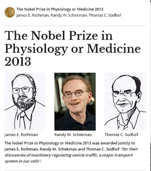 罗特曼等三人获2013诺贝尔生理学或医学奖