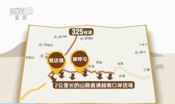 央视揭秘越南生猪走私利益链：1天上万头偷渡中国