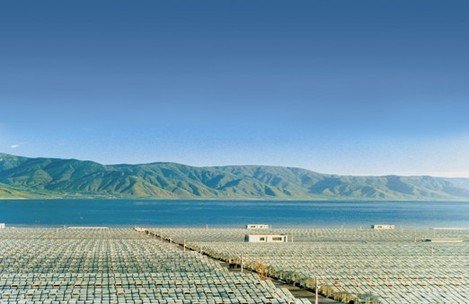 程海湖螺旋藻是全世界的财富 访绿A总经理杨志