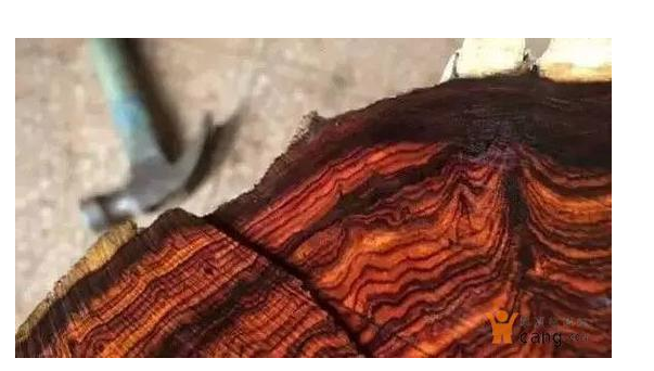 ��ľ�۸����� ��4�ֲ�����ֵ���ղ�