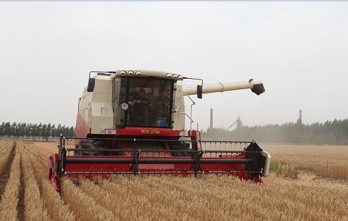 国内量产最大自主品牌收割机提速麦收进度
