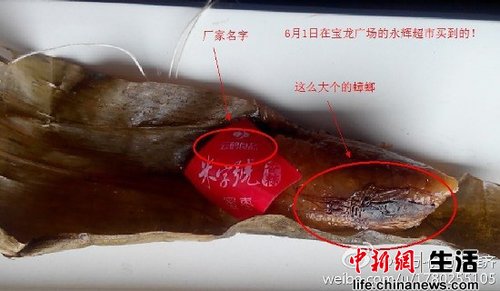 云鹤牌粽子吃出蟑螂 厂家称不可能有完整动物尸体