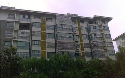 江苏一地税局副局长7层坠楼 警方调查(图)_财经