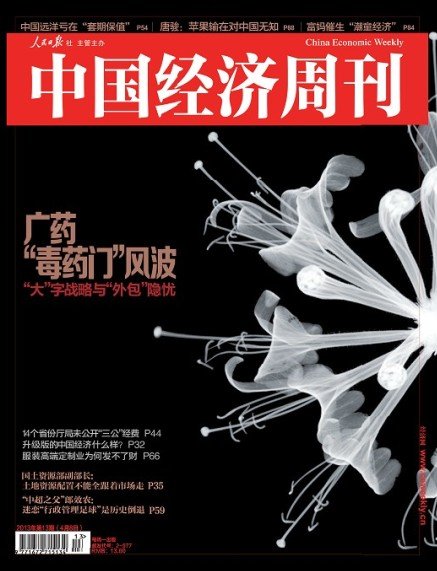 中国经济周刊2013年第13期