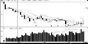 什么是主力合约期货 37593670.jpg