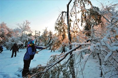 ��������ѩ