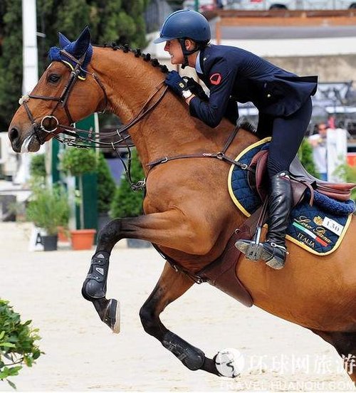 去迪拜看看世界上最昂贵的赛马(组图)