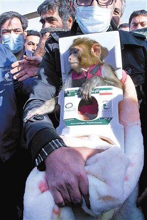 伊朗太空猴回地球了