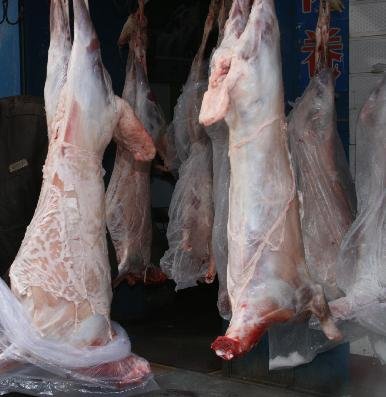 羊肉被称贵羊羊 4月来近7成省份羊肉涨价