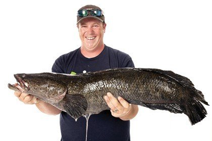 美国渔民捕获约17公斤乌鱼 打破世界纪录