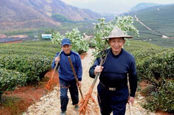 全国农民有多少人口_开国大土改 3亿农民分田立命