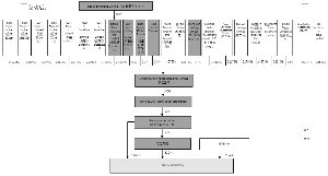 发展股份有限公司关于双汇国际控股有限公司股