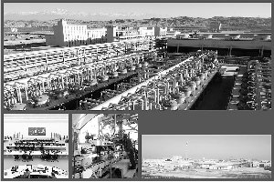 中泰化学阜康能源项目全面达产