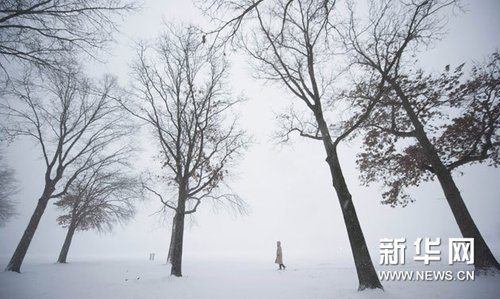 暴风雪袭击美国东北部