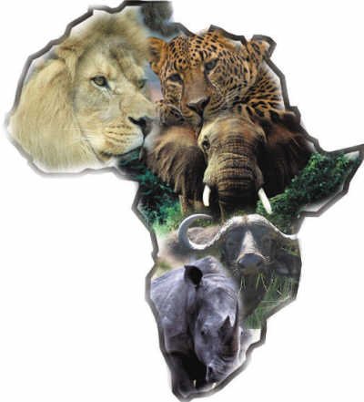 南非的动物经济(探访彩虹之国(五))