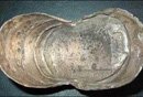 原来古代的银子这模样