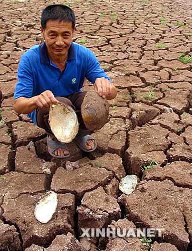 因旱灾每年损失300多亿公斤 恐成我国粮食安全