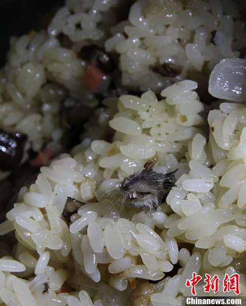 浙江高中生双语学校糯米饭中吃出老鼠头食堂高中二中和育才图片