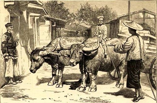 西方镜头下的1850年中国(组图)