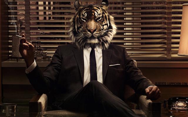 创业圈丨一个企业家心里话:在中国当老板太难