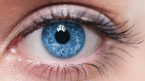新技术运用瞳孔变化实现瘫患者与外界交流