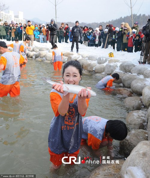 韩国平昌举办鳟鱼节(高清组图)
