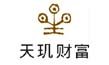 Shenzhen Development DNT riqueza