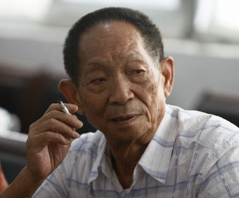 温家宝贾庆林发信祝贺袁隆平80岁生日（组图）