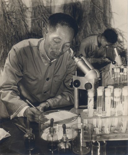 温家宝贾庆林发信祝贺袁隆平80岁生日（组图）