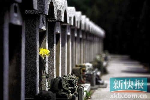 媒体调查广东墓地:高档骨灰盒售价上万进价65