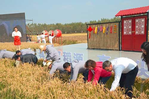 中粮福临门:像做雪茄一样做大米