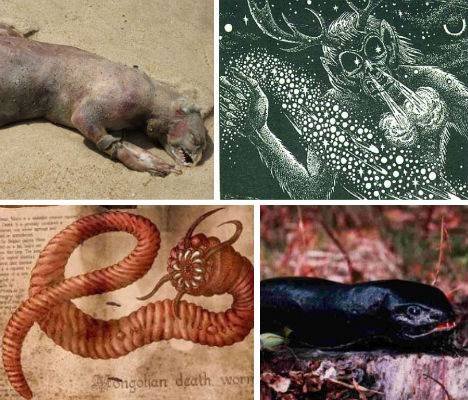 世界16大"怪兽"揭秘图片