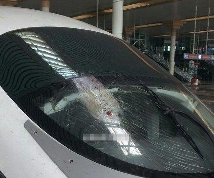 杭州至北京高铁遭飞鸟撞裂玻璃(组图)