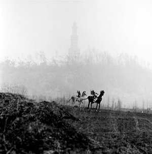 静穆四合_财经_腾讯网