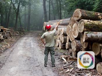 美国十大濒危职业 邮递员首当其冲