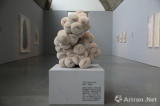 有4成人会去看艺术品展览 书画最受欢迎