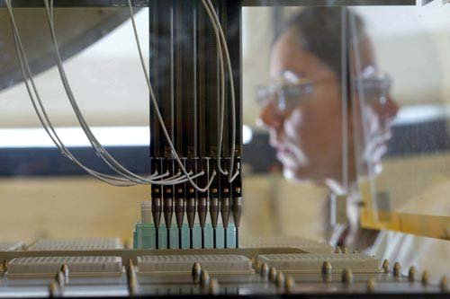 孟山都魅影:暗埋中国餐桌危机