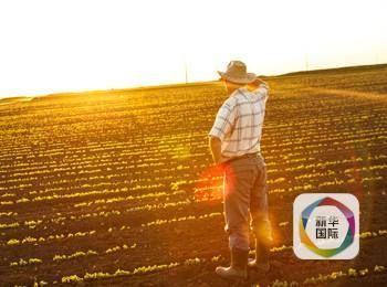 美国十大濒危职业 邮递员首当其冲