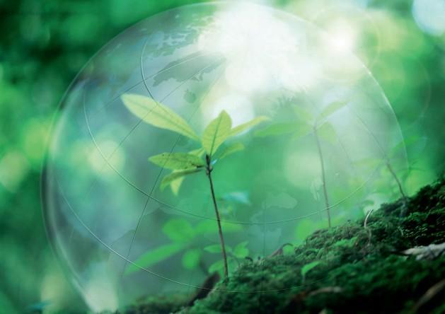 生态红线划定矛盾尖锐：地方在博弈中把土地开发了