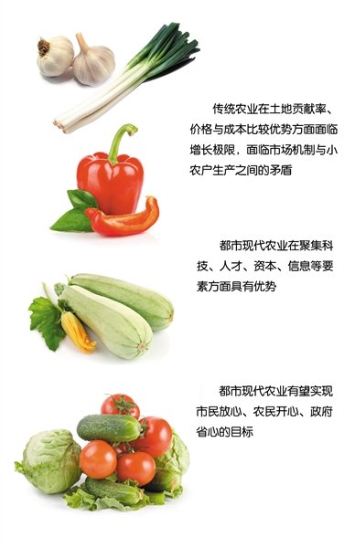农业占北京GDP比重_财政收入占gdp的比重(3)