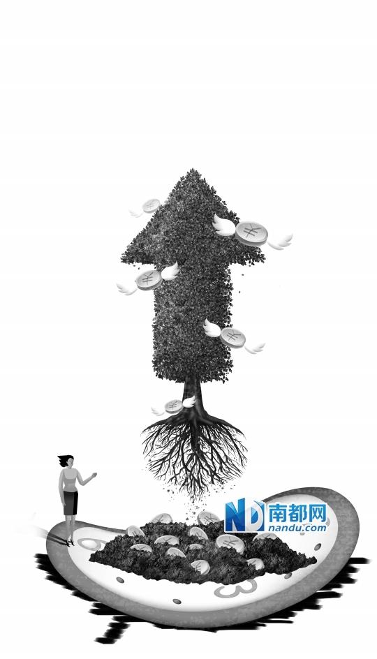 南都制图：何欣