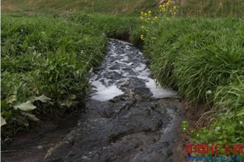 白云纸业污水处理成面子工程 村民 饮 污染 地下 